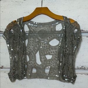 Echo Sheer Beaded Sequin Mesh Crop Top Gray Silver